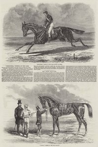 Cavalos de corrida vencedores
