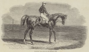 Woolwich, o vencedor do vaso do imperador de Benjamin Herring