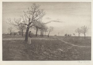 Afterglow de Benjamin Lander