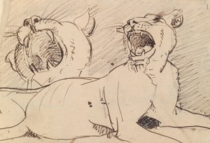 Estudo de uma Lioness de Benjamin Robert Haydon