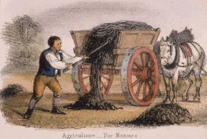Agricultura, para estrume, c1845