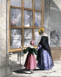 Sanguessugas e Toothpowder, de crustáceos e répteis em ilustrações gráficas de animais - mostrando sua utilidade para o homem em seu emprego durante a vida e usos após a morte, c.1845 de Benjamin Waterhouse Hawkins