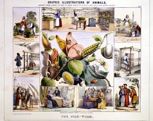 O bicho-da-seda, c1850