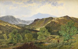 Moel Siabod - no vale do couro, 1871 de Benjamin Williams Leader