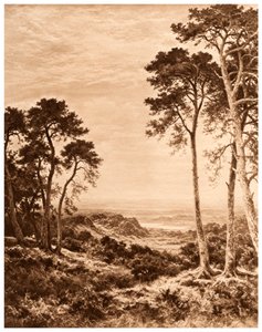 Pôr do sol depois da chuva, 1903 de Benjamin Williams Leader