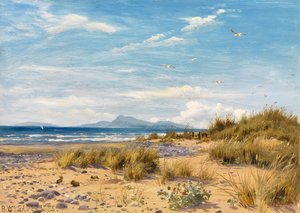 Costa Carnarvonshire