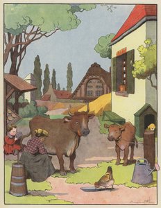 Mulher, ordenhar, um, vaca, em, um, farmyard