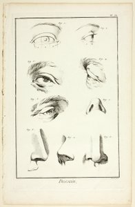 Desenho: Anatomia Facial de Encyclopédie