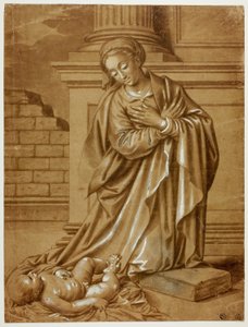 Madonna e criança de Benvenuto Tisi da Garofalo