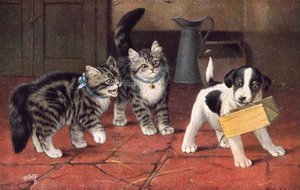 Postal de gato (litografia a cores)