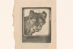 Cabeça de uma leoa de Bernard Willem Wierink