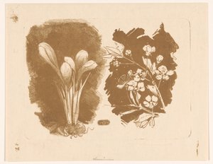 Açafrões e um galho com flor de Bernard Willem Wierink
