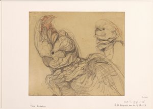 Duas cacatuas, meia vida de Bernard Willem Wierink