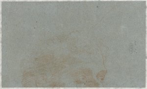 Parte da cabeça de um homem de Bernardino Lanino (possibly)