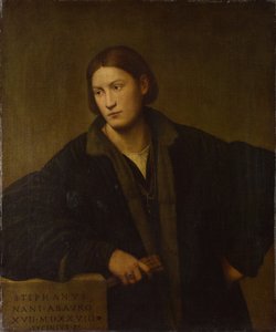 Retrato de Stefano Nani, 1528