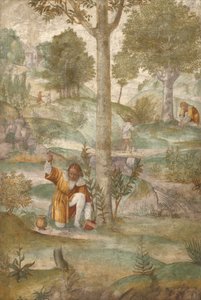  de Bernardino Luini