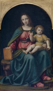 Madonna e criança de Bernardino Luini