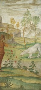 Prócris e o Unicórnio de Bernardino Luini