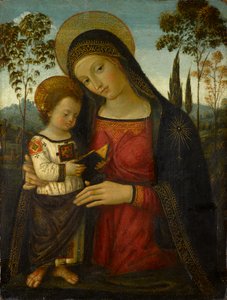 Madonna and Child, por volta de 1490-1495 (tempera no painel)