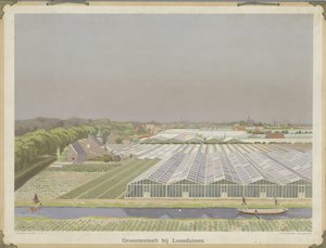 Vegetais cultivados perto de Loosduinen (título sobre o objecto) de Bernardus Bueninck
