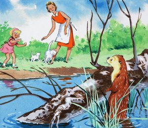 Lontra de cauda fina