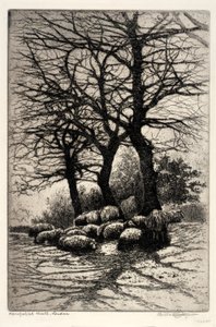 Hampstead Heath, Londres
