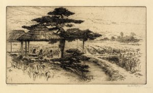 Jardim das Íris de Bertha E. Jaques