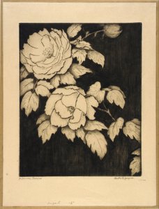 Peónias japonesas de Bertha E. Jaques