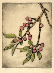Cerejas de maio de Bertha E. Jaques