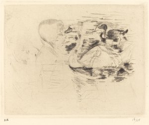 Cisnes na água estagnada de Berthe Morisot