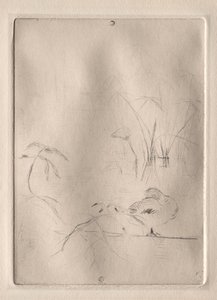 O pato de Berthe Morisot