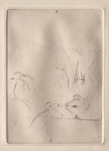 O Pato de Berthe Morisot