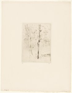 O lago no Bois de Boulogne de Berthe Morisot