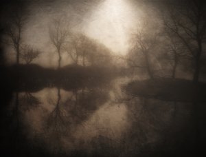Reflexo na Floresta Ennevoada de Bill Eiffert