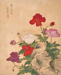 Álbum de flores (tinta e cor sobre seda)