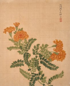 Álbum de flores (tinta e cor sobre seda)