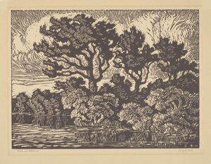 Salgueiro e Cottonwood, cerca de 1931 (linogravura) de Birger Sandzen