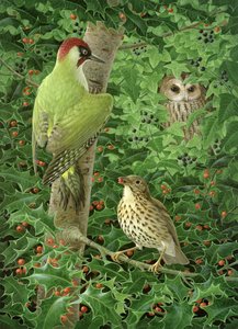 Pica-pau, Coruja e Thrush (guache sobre papel) de Birgitte Hendil