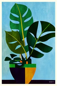 Monstera moderna em vaso de Bo Anderson