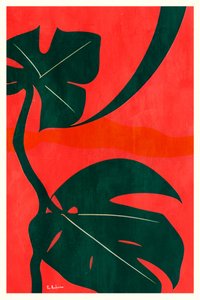 Folhas de Monstera da Selva de Bo Anderson