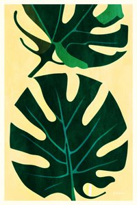 Folhas tropicais de Monstera de Bo Anderson