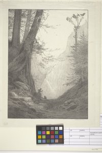 Cedros grandes (tinta sobre papel, litografia) de Bolton Coit Brown