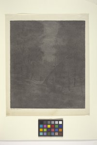 Madeira Moonlight Woods (tinta sobre papel) de Bolton Coit Brown