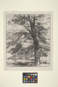 Bordo de açúcar (tinta sobre papel) de Bolton Coit Brown