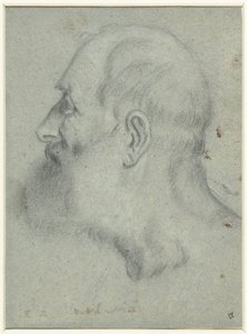 Cabeça de homem barbudo, de perfil à esquerda de Bonifazio Veronese (attributed to)