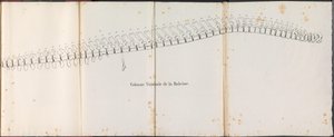 Espinha dorsal da baleia, 1827
Colonne Vertébrale de la Baleine (título sobre o objecto)