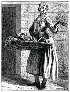 My Beautiful Pinks !, 1737-1742. de Bouchardon