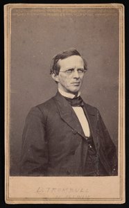 Retrato de Lyman Trumbull 1813-1896, entre 1864 e 1868. de Brady