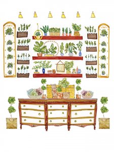 Jardim interior exuberante