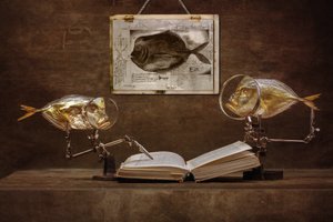 Curiosos peixes eruditos de Brig Barkow